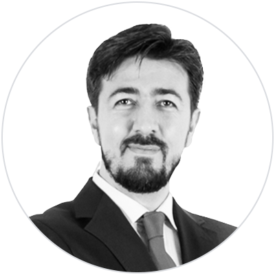 Mehmet Ali Erkul